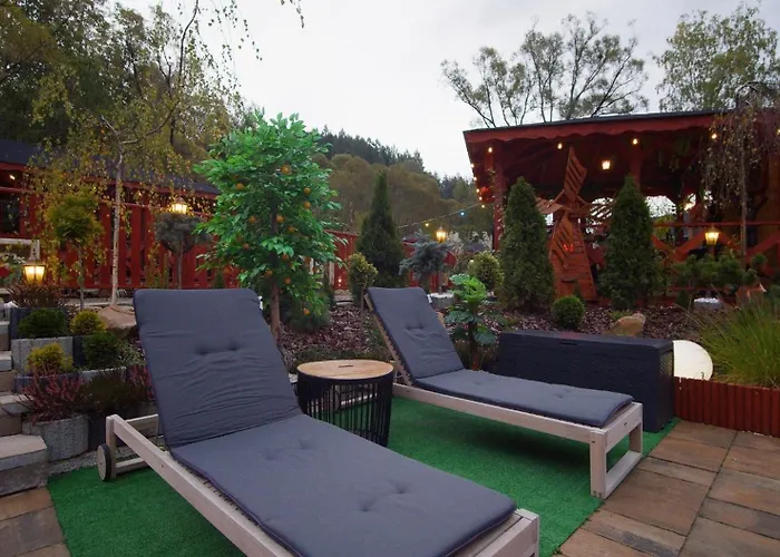 4 Pory Roku Goscinne * Kamesznica